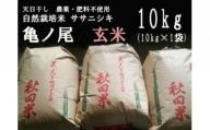 〈先行予約 令和五年産〉天日干し　農薬・肥料不使用　自然栽培米「ササニシキ」か「亀ノ尾」玄米10kg