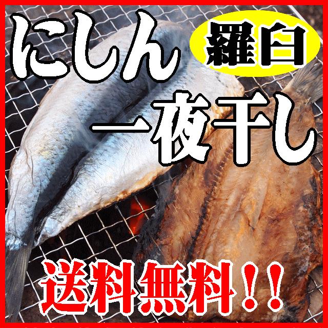 知床羅臼産！ニシン一夜干し！２枚入り×３パック！脂のり◎最高級にしんです。