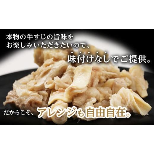 ふるさと納税 熊本県 あさぎり町 牛すじ(ボイル済み) 2.4kg(300g×8p) 牛筋 牛すじ 牛すじ煮込み 下ゆで処理済 牛肉 肉 おでん うどん 煮込み 冷凍【お届け時…