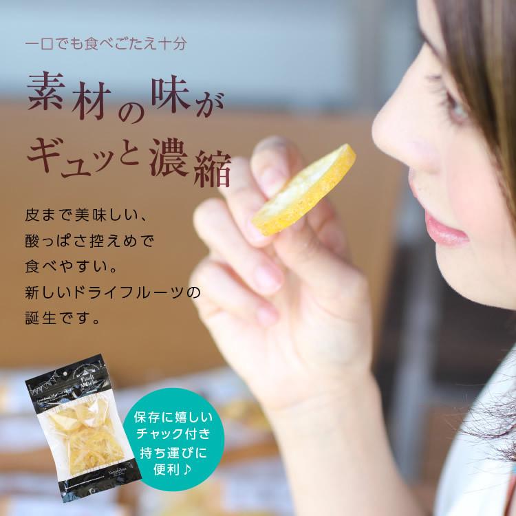 ドライフルーツ 国産 レモン 大袋 105g 送料無料 輪切り 皮まで美味しい 酸味控えめ ポイント消化 ドライレモン 南信州菓子工房 ギフト ヨーグルトに お歳暮