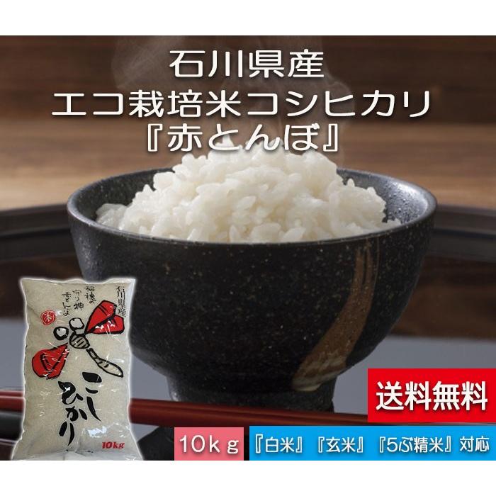 令和5年産 新米 送料無料 加賀百万石 赤とんぼ こしひかり 白米 10kg