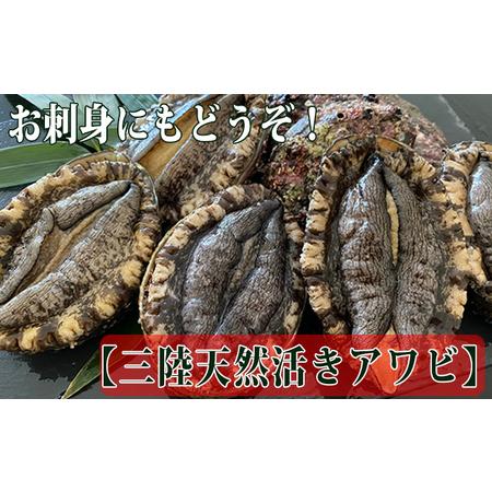 ふるさと納税 三陸天然活アワビMサイズ800g（6〜7個入）刺身 ステーキ 宮城県南三陸町