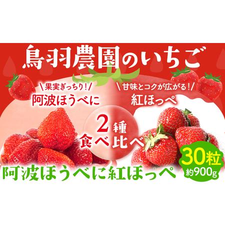 ふるさと納税 いちご 阿波ほうべに 紅ほっぺ 2種 食べ比べ セット 30粒 約900g 鳥羽農園《1月上旬-3月下旬頃発送予定》徳島県 上板町 苺 徳島県.. 徳島県上板町