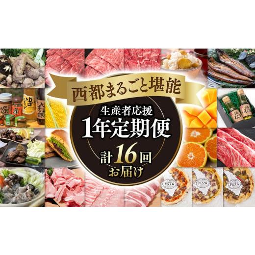 ふるさと納税 宮崎県 西都市 12ヶ月毎月届く 西都まるごと堪能セット16品お届け！マンゴー 宮崎牛 うなぎ 牛肉 すき焼き …