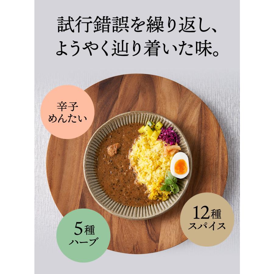 送料無料 博多めんたいスパイスカリー 10個セット 1人前 180g レトルトカレー スパイスカレー 福さ屋 辛子明太子 お歳暮 ギフト