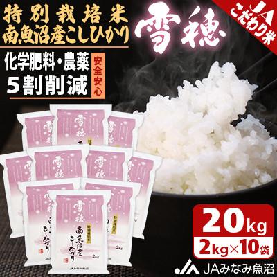 ふるさと納税 南魚沼市 「特別栽培米南魚沼産こしひかり雪穂」精米 2kg×10袋