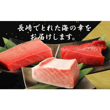 ふるさと納税 長崎県産 本マグロ3種盛り「大トロ・中トロ・赤身」約3kg 長崎県時津町