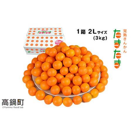 ふるさと納税 ＜“厳選”完熟きんかん「たまたま」2L×3kg 1箱＞2024年2月上旬〜2月下旬迄に順次出荷 金柑 柑橘 果物 宮崎県高鍋町