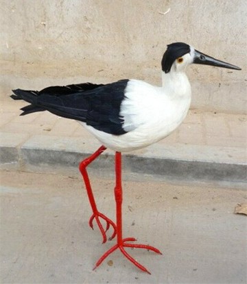 仿真動物模型 大鳥 仿真黑翅長腳鷸 拍照攝影教科認知道具