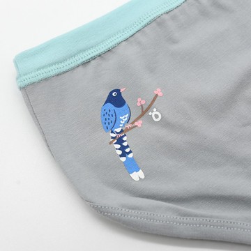 男童三角內褲-熱愛自由的台灣藍鵲