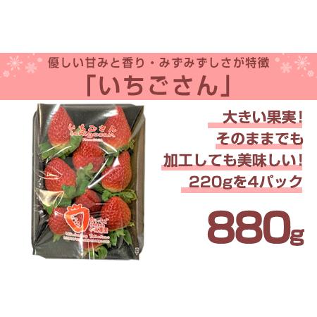 ふるさと納税 『予約受付』いちごさん 約220g×4パック (合計約880g) いちご 苺 贈答 佐賀県唐津市