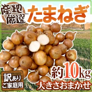 ”たまねぎ” 訳あり 約10kg 九州・四国・淡路・北海道 産地厳選 送料無料