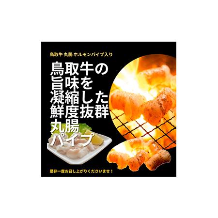 ふるさと納税 と23-10 鳥取県産　焼肉セット 2.4ｋｇ (６〜１０人前） ホルモン 丸腸 牛肉 豚肉 鶏肉 バーベキュー 鳥取産 BBQ ファミリーセット 鳥取県