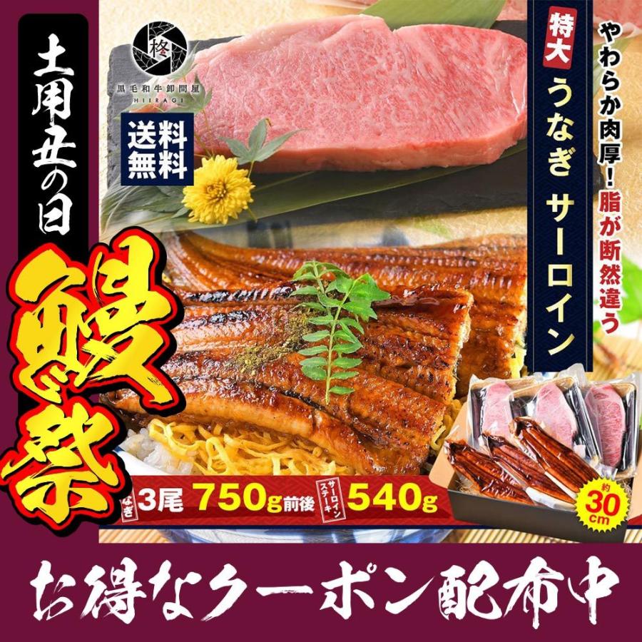 和牛 鰻 セット特大 うなぎ 蒲焼き 3尾とサーロインステーキ540ｇ 冷凍食品