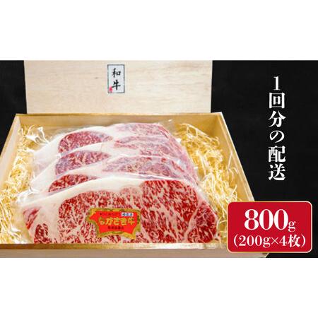 ふるさと納税 長崎和牛 サーロイン ステーキ 4人前 200g×4 総計9.6kg   肉厚 牛肉 ジューシー 牛 ステーキ肉   南島原市  .. 長崎県南島原市