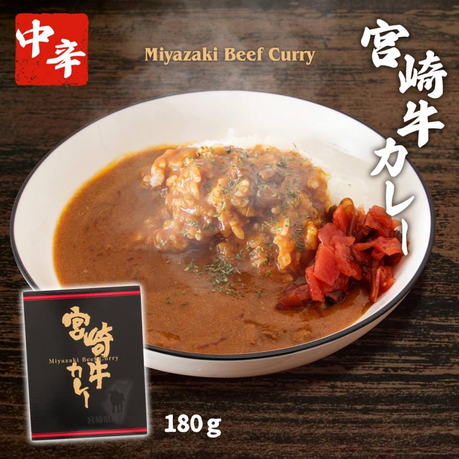 [宮崎経済連直販]  宮崎牛カレー 180ｇ