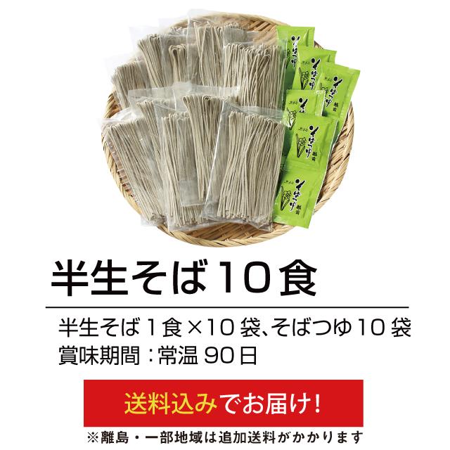 お歳暮 年越しそば「半生そば10食」越前そば お土産 年末年始 半生 日持ちそば 国産 乾麺 グルメ