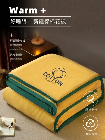 新疆棉花被芯春季被子被芯 雙人春秋夏天空調被芯春夏兩用180x220