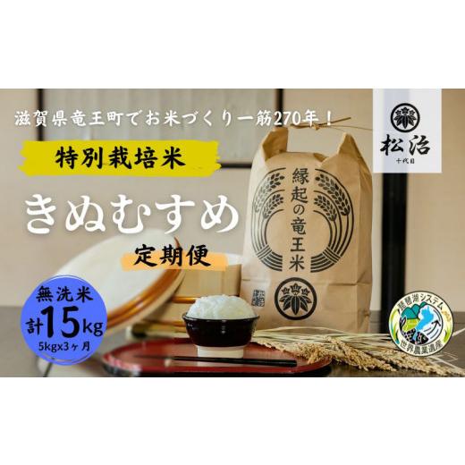 ふるさと納税 滋賀県 竜王町 定期便 3ヶ月 きぬむすめ 無洗米 5kg 縁起の竜王米 特別栽培米 令和5年産  新米 ブランド米 無洗米 精米 計 15kg 定期便 3回 お…