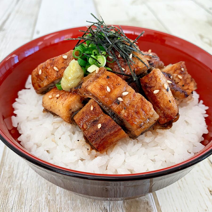 静岡 まぐろ丼と鰻ひつまぶし