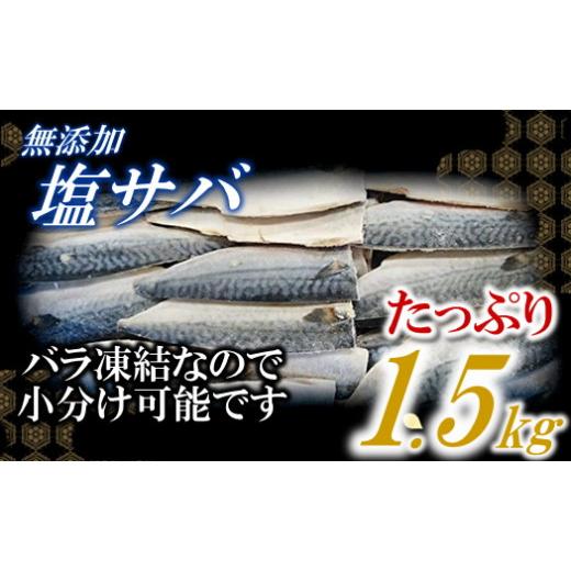 ふるさと納税 福岡県 新宮町 AB346.バラ凍結で便利！塩さば＆銀鮭ミックス（合計約2.5kg）