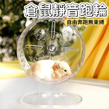 🐹【台灣熱賣】倉鼠跑輪 倉鼠玩具 倉鼠靜音滾輪 小寵自嗨解悶神器 小寵運動玩具 金絲熊無聲立式跑輪 蜜袋鼯跑輪 小寵用品