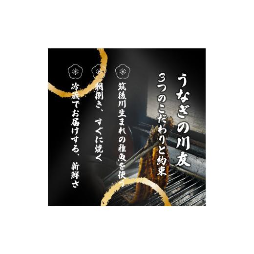 ふるさと納税 佐賀県 みやき町 AK003 朝開き国産うなぎ 当日発送２尾（1尾あたり約200〜230ｇ） 蒲焼き（タレ付）国産鰻 ウナギ 土用丑の日