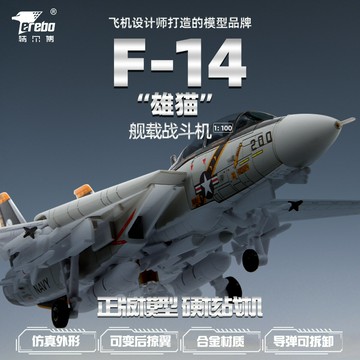 【高仿真合金】F14飛機模型 航空模型 飛機模型 靜態模型 擺件 收藏 1:100比例 金屬機身 精細塗裝 美式戰機 公司禮品 桌面展示