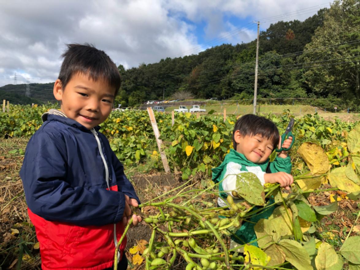 黒豆セット（３種）ギフトにも最適　国産・無添加・無着色