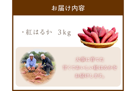 丹後産　さつまいも　紅はるか3kg　2024年4月中旬～配送