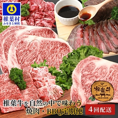 総重量2.4kg!椎葉牛 大自然の中で味わう焼肉・BBQ定期便