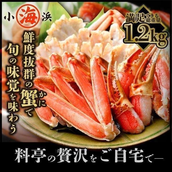 御歳暮 カニ かに ズワイガニ 蟹 カット生ずわい蟹 1kg 総重量1.2kg前後 化粧箱 2L-3Lサイズ 剥き身 脚 姿蟹 かに爪 かに鍋 kani 冷凍便 送料込