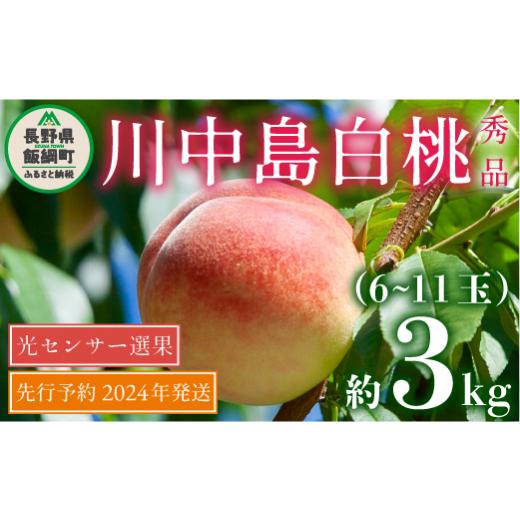 ふるさと納税 長野県 飯綱町 桃 川中島白桃 3kg 先行予約 2024年 秀品 光センサー選果 冷蔵 【 もも モモ 予約 白桃 果物 くだもの フルーツ 旬 長野 信州 170…