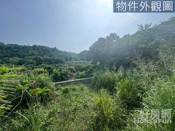 ✨大樹優質臨路農地 稀有釋出置產自用皆宜✨｜高雄市大樹區興和段