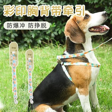 [24時熱賣]寵物項圈 牽引繩 脖圈頸圈 狗狗牽引繩外出遛狗繩胸揹帶中小型犬博美寵物狗鏈子拴狗繩防爆衝 02TQ