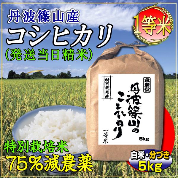 新米 お米 5kg コシヒカリ 特別栽培米 7.5割農薬減 兵庫県 丹波篠山産 白米 分づき可 特A 一等米 当日精米 令和5年産