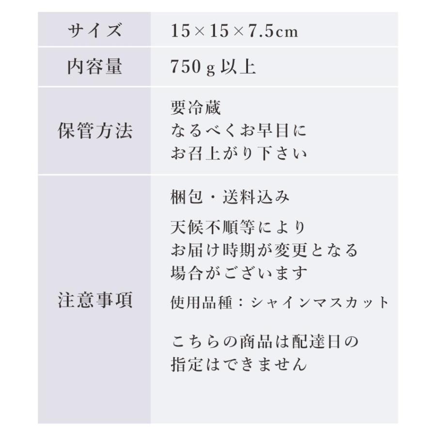 お中元 ぶどうの宝石箱 ヴェレゾン ルミエール  岡山 葡萄 シャインマスカット ピオーネ 桃太郎ぶどう 果物