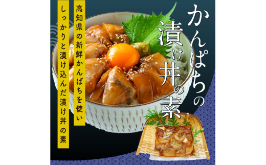 海鮮 漬け丼 3種類 食べ比べセット 真鯛 ぶり かんぱち 支援 冷凍 保存食 海鮮 小分け パック 漬け 本場 高知 海鮮丼 パパッと 簡単 惣菜 そうざい 一人暮らし 人気 5000円 〈高知市共通返礼品〉