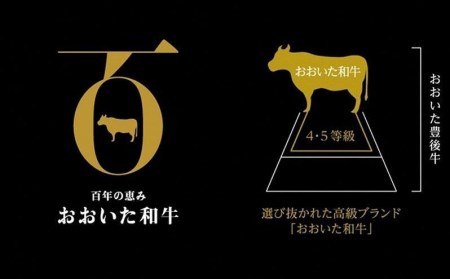 おおいた和牛A4ランク以上！赤身焼肉セット3種