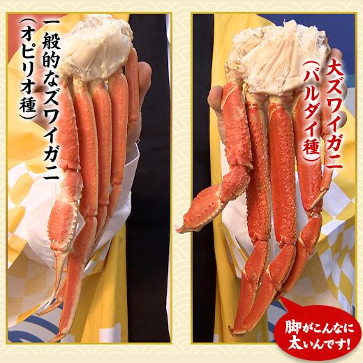 かに カニ 蟹 ズワイ ずわい 希少 大ズワイガニ 脚 たっぷり 1.6kg バルダイ種 お歳暮 2023 2024 プレゼント ギフト 送料無料 