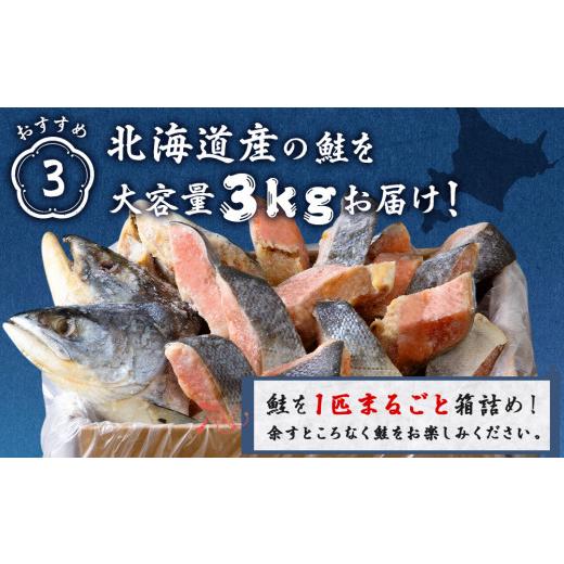 ふるさと納税 北海道 白老町 北海道産 新巻鮭 切り身 3kg 塩鮭 冷凍 鮭 しゃけ おかず お弁当 魚 海鮮 〈斉藤水産〉