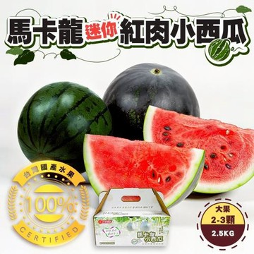 果物樂園-台灣馬卡龍迷你紅肉小西瓜大果x1箱(2-3顆/2.5kg)