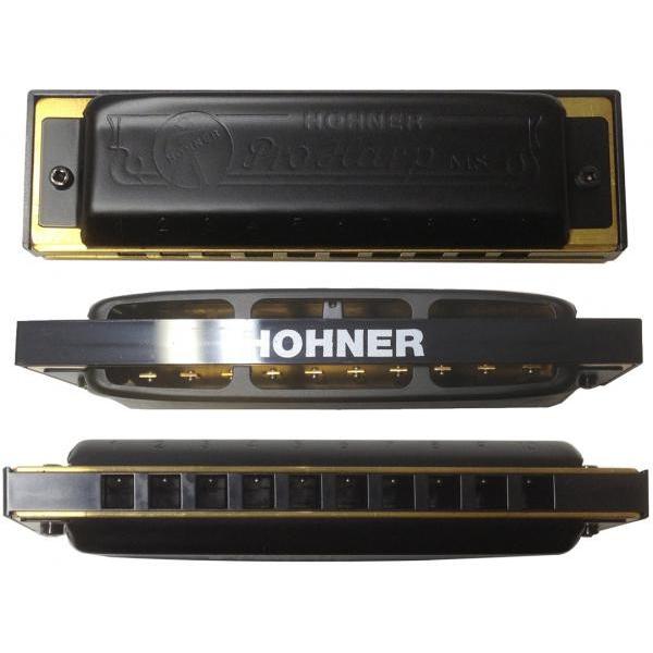 HOHNER プロハープ A 10穴 ハーモニカ Pro Harp MS ブルースハープ テンホールズ ブラック 樹脂ボディ