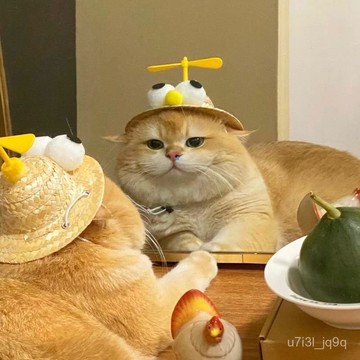 貓咪帽子網紅搞笑迷你草帽狗狗頭套編織草帽寵物小型犬可愛竹蜻蜓