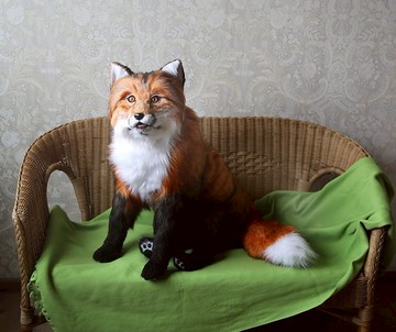 狐狸逼真的毛絨玩具。 Ooak doll.Collectible 動物玩具照片