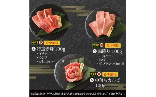 宮崎牛！特選！食べ比べ焼肉6種盛り(合計600g)