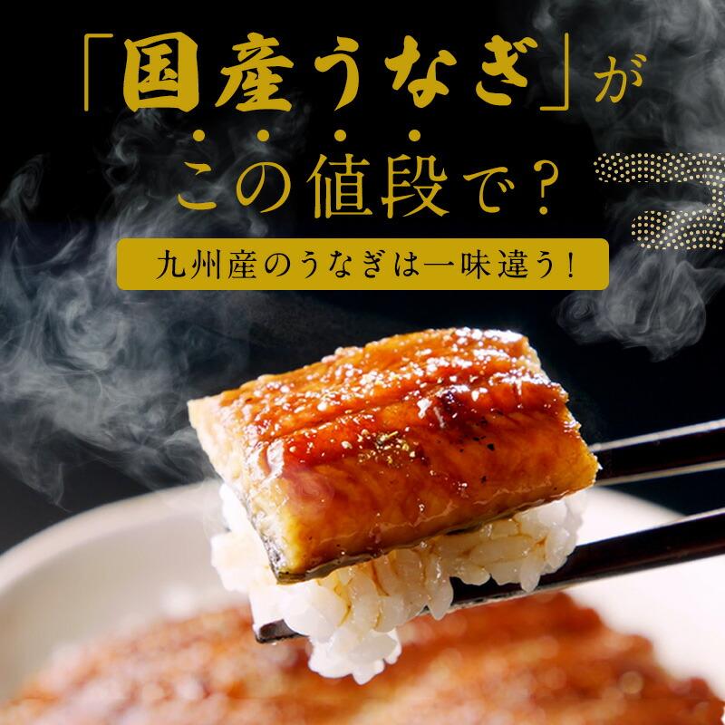 うなぎ 鰻 ウナギ 国産 国内産 九州産 うなぎ蒲焼 鰻蒲焼 蒲焼き 蒲焼 長焼 2尾 140g×2尾 （2~4人前） お取り寄せグルメ プチ贅沢 敬老の日 お歳暮