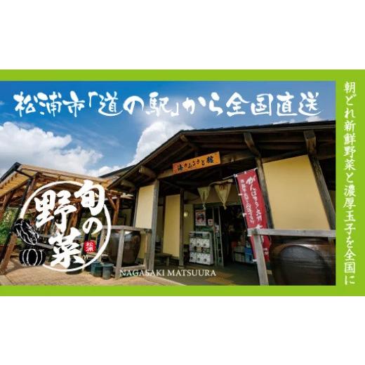 ふるさと納税 長崎県 松浦市 道の駅松浦海のふるさと館『旬のお野菜＋産みたて濃厚玉子6個』の大満足セット！ 野菜 詰め合わせ 旬 卵 新鮮