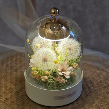 蒲公英觸控式夜燈玻璃罩 附USB充電線 快速出貨