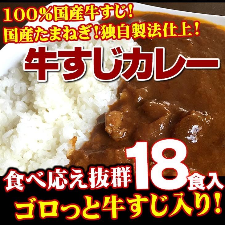 牛すじカレー 18袋 100％国産 牛すじ たまねぎ使用 中辛 惣菜 レトルト 送料無料 非常食 おつまみ 珍味 牛肉 ご飯のお供 贅沢